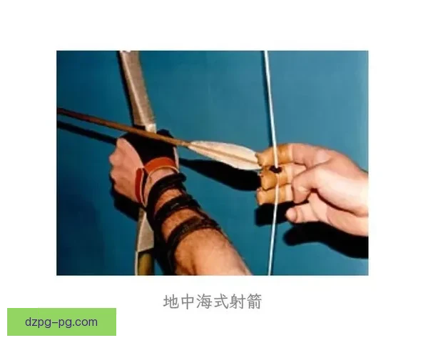 射箭规则解析及技巧分享